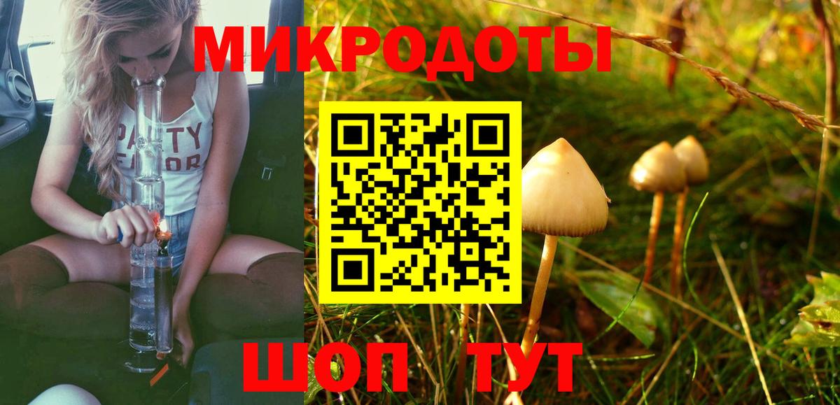 Соль-Илецк  Псилоцибиновые грибы Magic Shrooms  Вход с VPN 